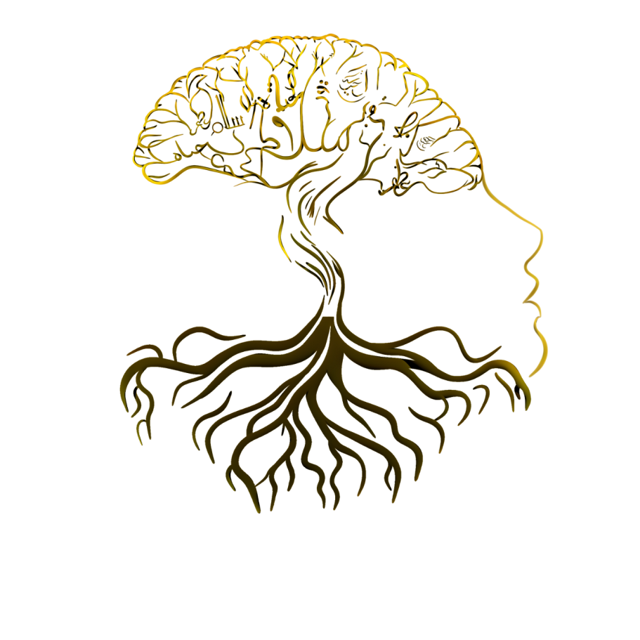 Wahib Naouar Psychologue Annecy Psychologue Annecy Haute savoie
